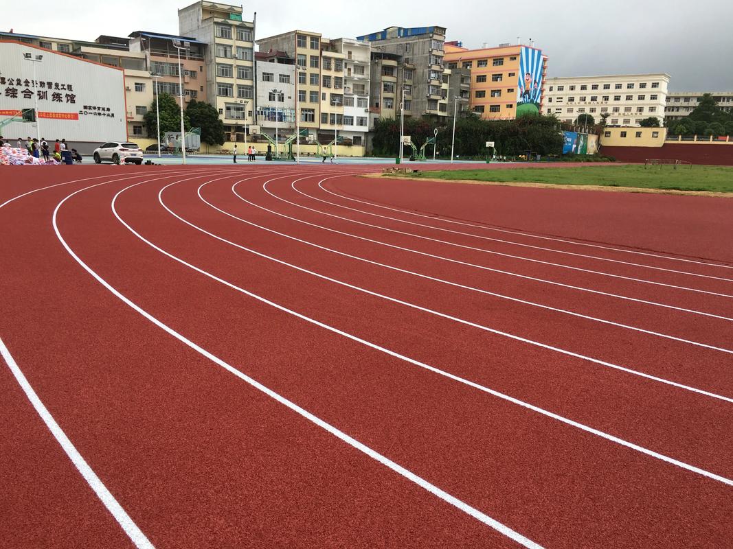 巴彦淖尔市硅PU塑胶跑道材料 - 价格